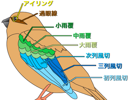 名称用.png