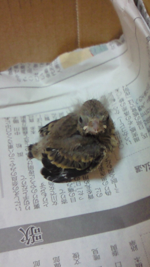 20110518.jpg