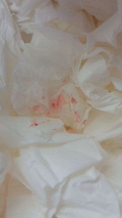 20110523_2.jpg