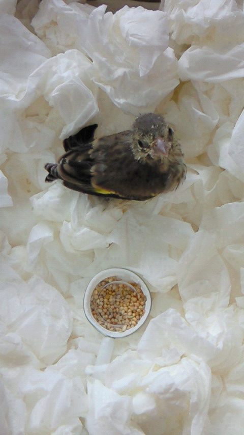 20110527.jpg