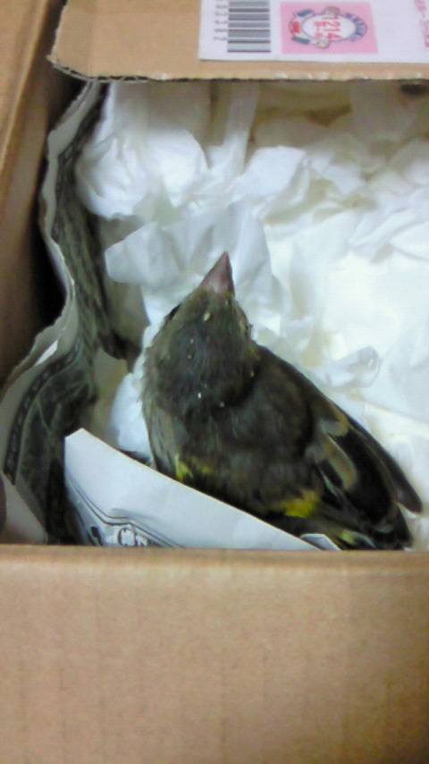 20110529.jpg