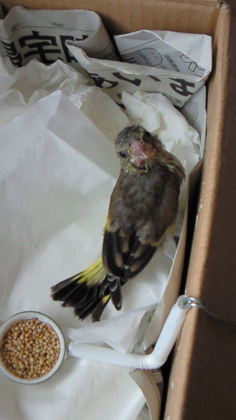 20110608.jpg