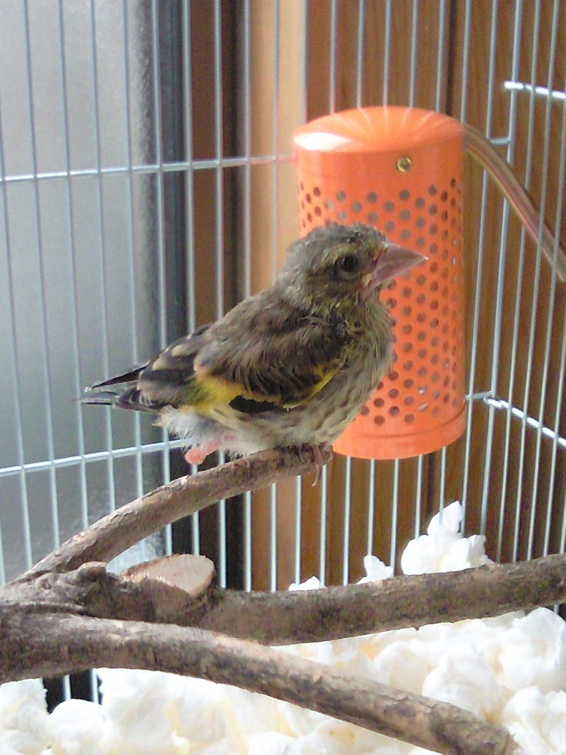 20110610.jpg