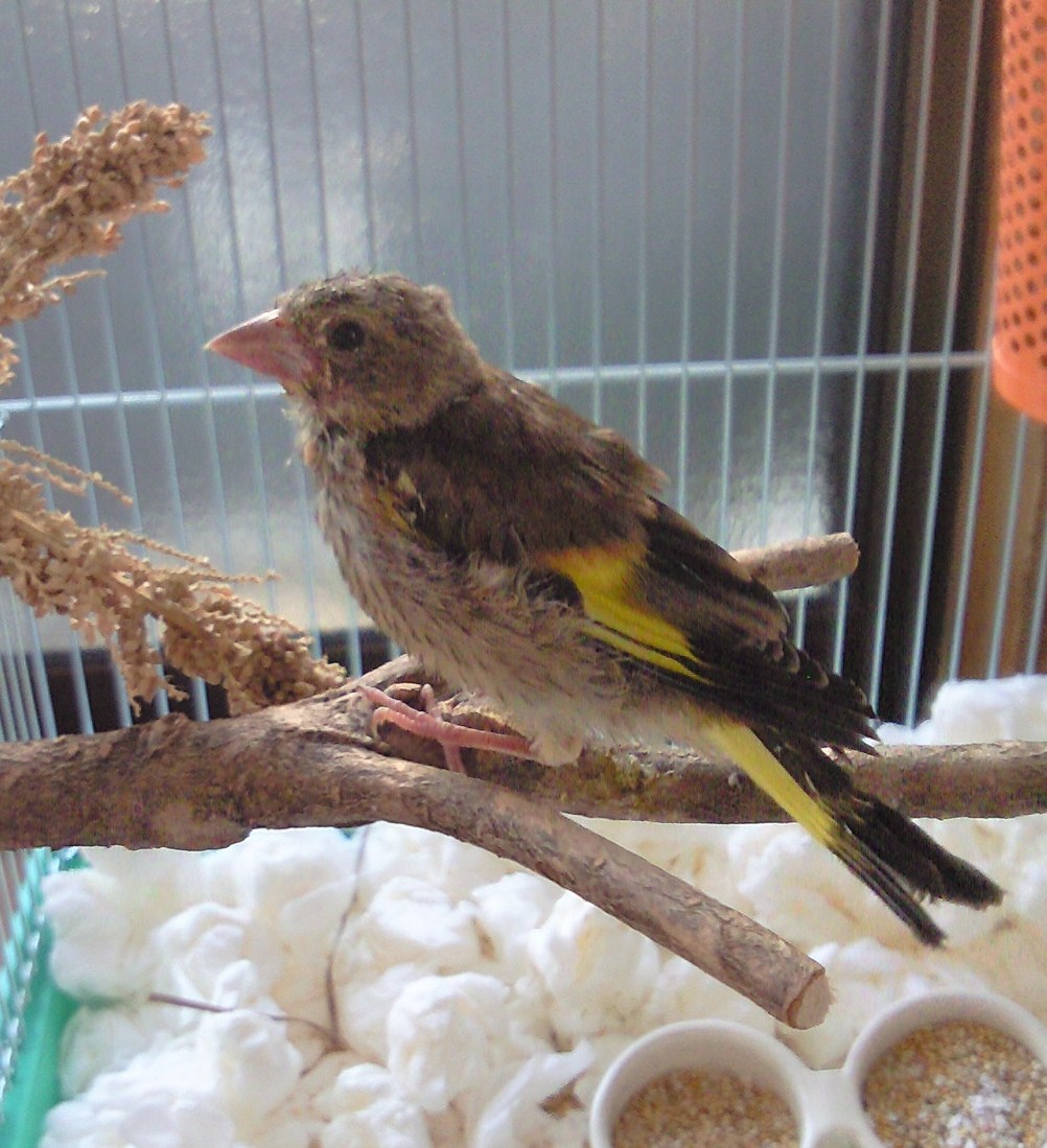 20110613.jpg