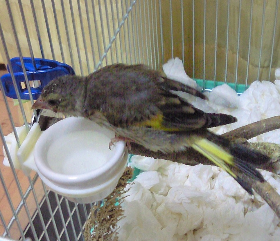 20110615.jpg