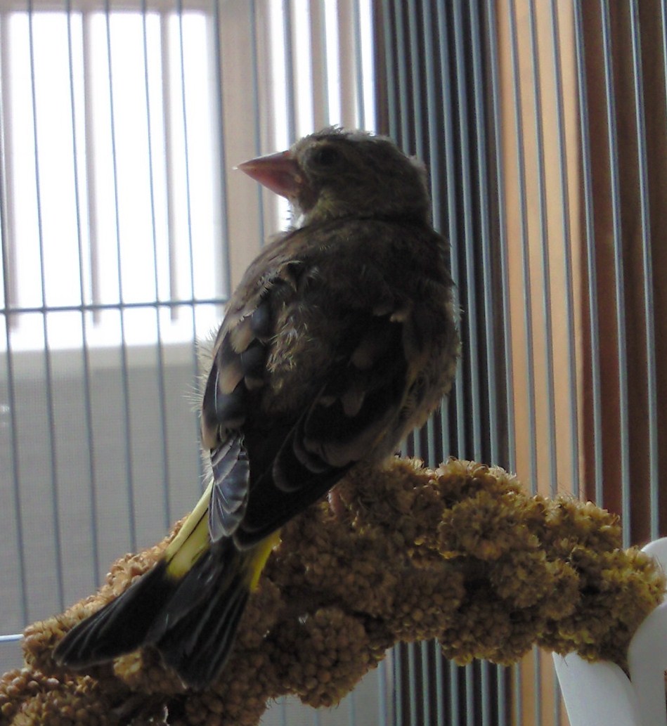20110620.jpg