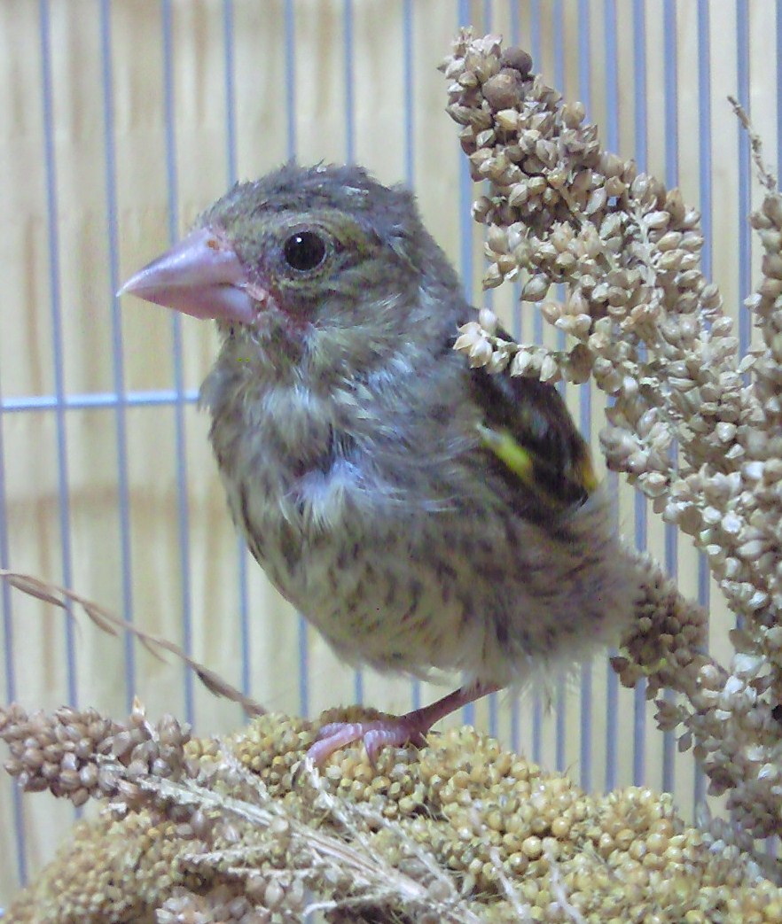 20110622.jpg