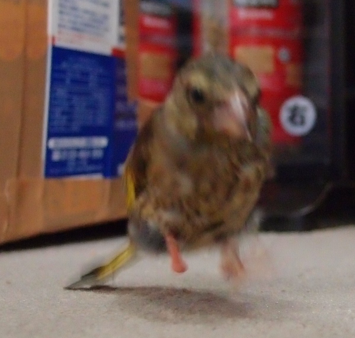 20110731_1.jpg